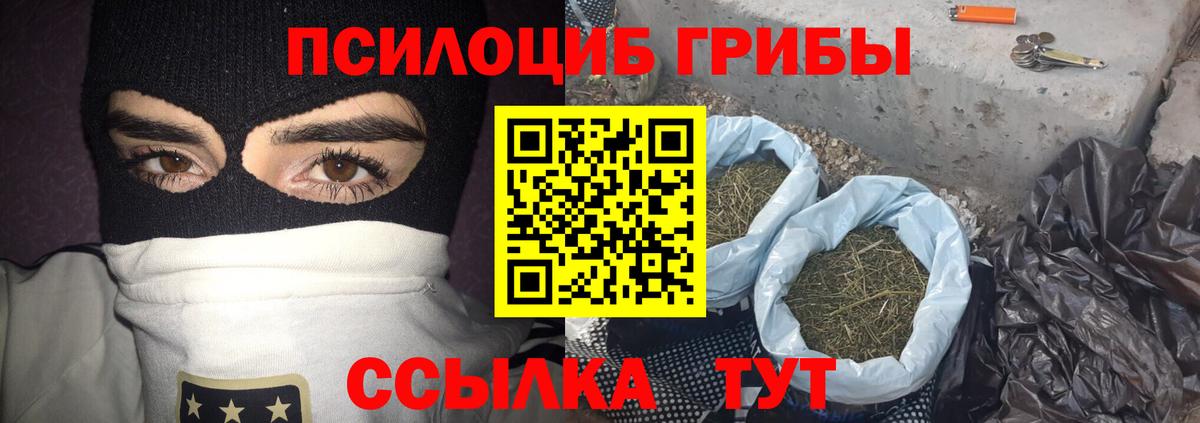 Псилоцибиновые грибы MAGIC MUSHROOMS Янаул